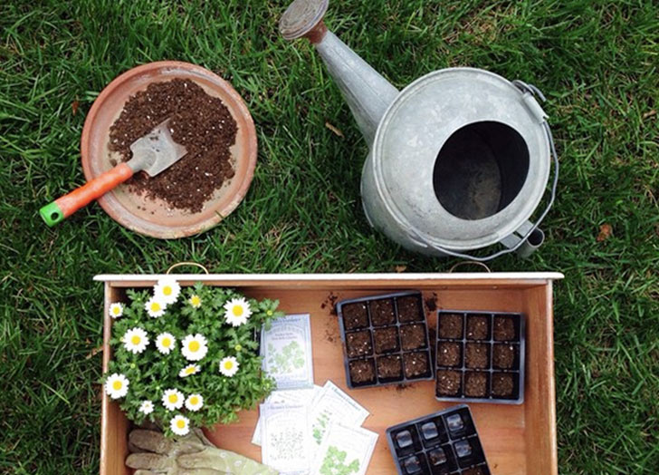 Date Ideas for Married Couples - An overhead shot of gardening tools, seeds and starters on some grass.