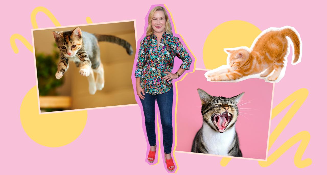 Angela Kinsey Top Cat Tip - A pink and yellow collage photo featuring actress, Angela Kinsey, and a number of silly cats.